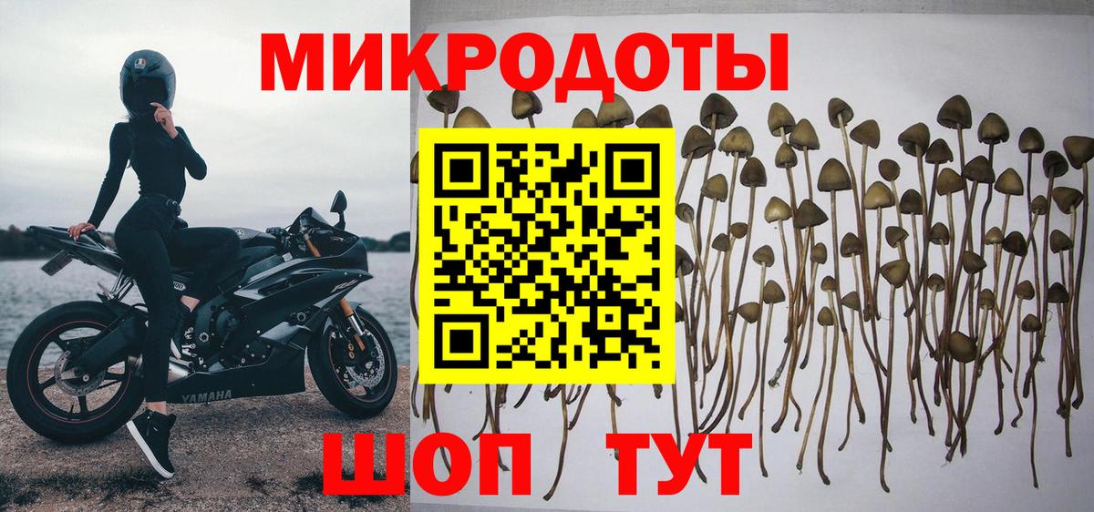 Галлюциногенные грибы MAGIC MUSHROOMS  Вход с VPN  Псилоцибиновые грибы мицелий  Малгобек 